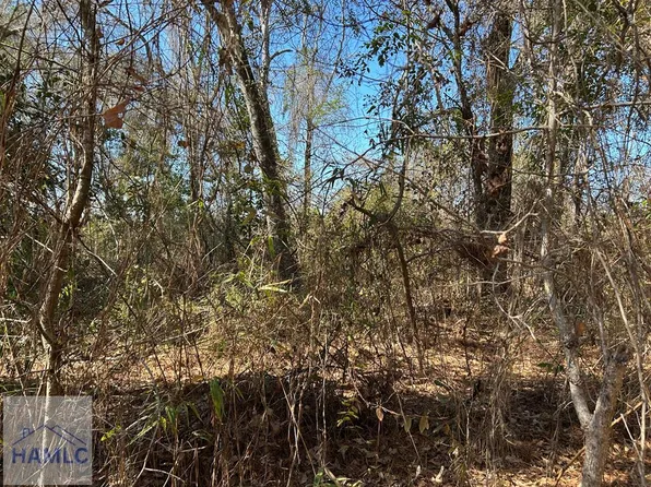 None Barrington Ferry Rd, Riceboro, GA 31323