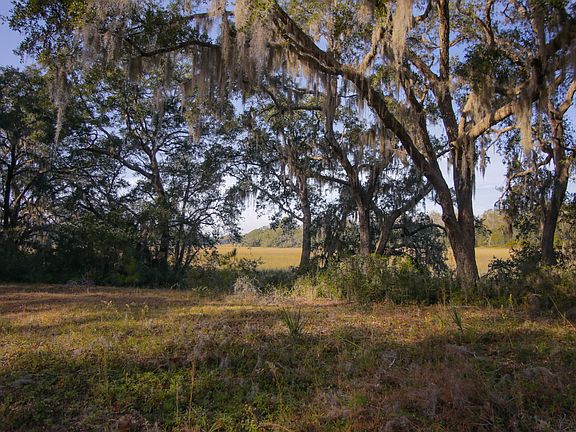 2nd image of 18 Marsh Oaks Lane