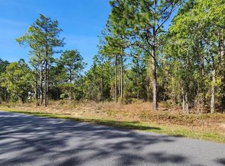 County Road 243b LOT 2, Wildwood, FL 34785