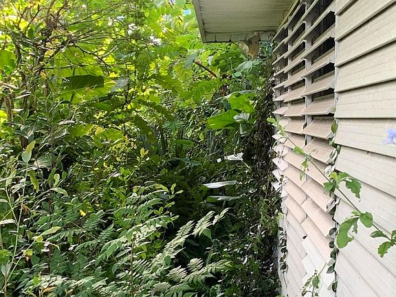 4th image of 411 Palmetto Ave