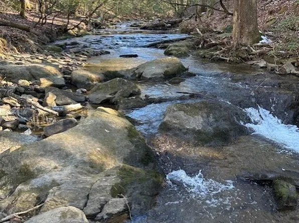 0 Clear Creek Preserve Way, Ellijay, GA 30536