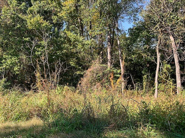2nd image of 245 Old Springville Rd