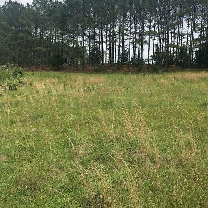 2nd image of County Road 403 County Rd #403-lot 7