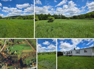 202-204 Beaver Spring Ln, Davenport, NY 13750