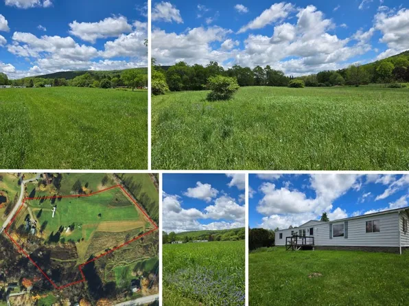 202-204 Beaver Spring Ln, Davenport, NY 13750