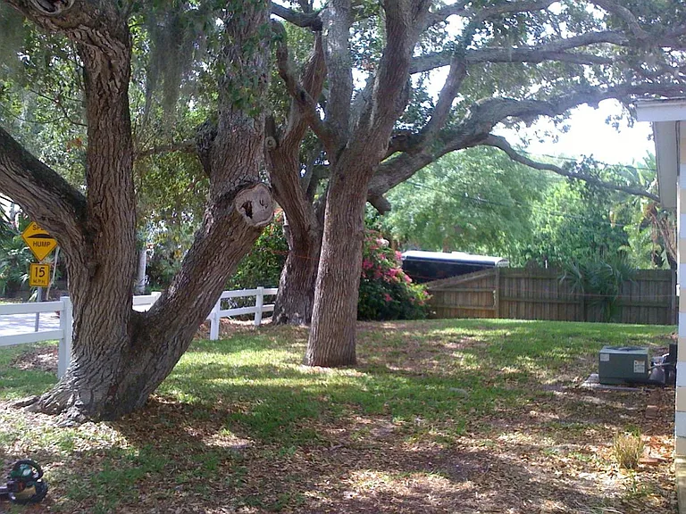 1557 S Banana River Dr — Photo 4
