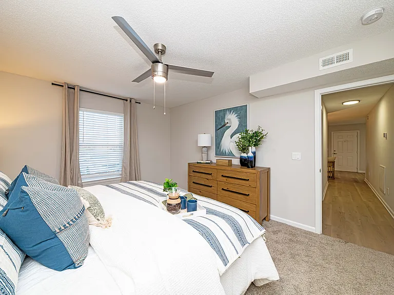 Cozy bedroom with carpet