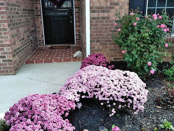 4th image of 4672 Alleghany Dr