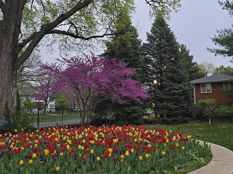 Near South Park planter Spring 2025