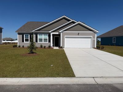 9017 Polar Bear Way, Conway, SC, 29526