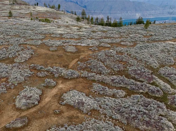 0 Chipmunk Trail Road #Rd, East Wenatchee, WA 98802