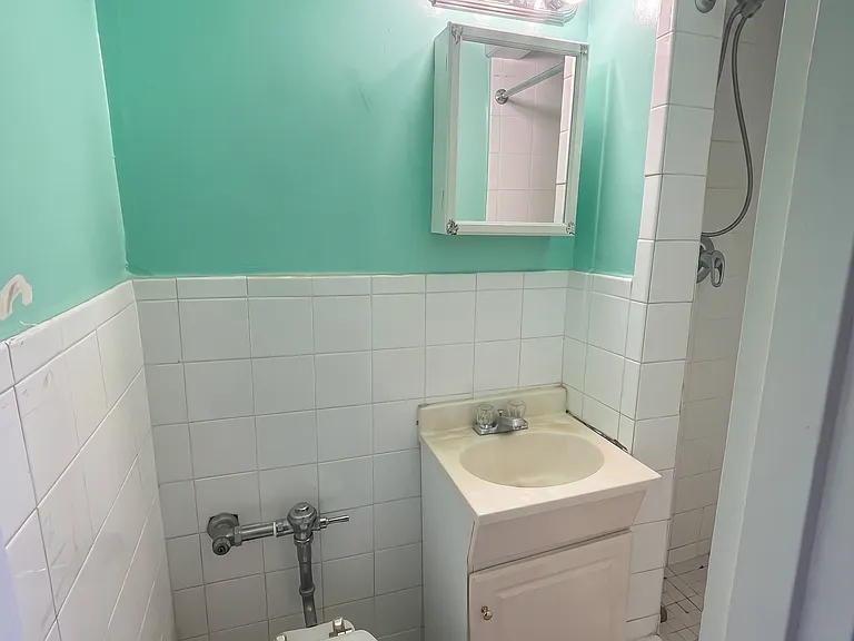 3901 Nostrand Ave #6L — Photo 8
