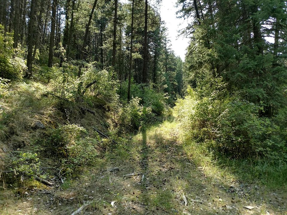 2nd image of Nhn Henry Creek Rd