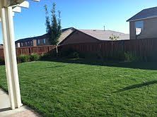 2nd image of 14955 Corlita St