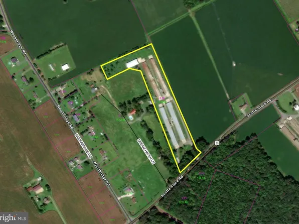 6813 Scotts Store Rd, Greenwood, DE 19950