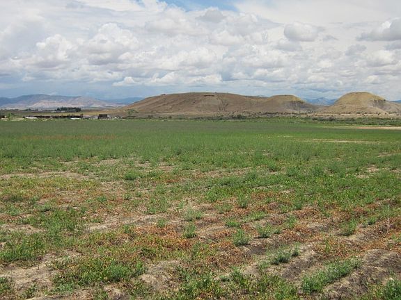 3rd image of 8 Road 45.10 Acres