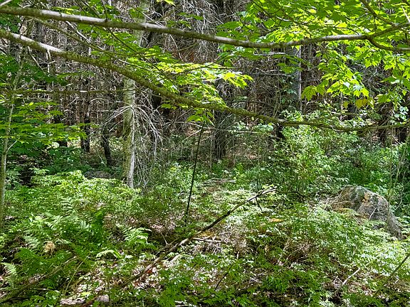 2nd image of lot 23 Mountain View Lane