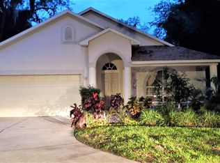 815 Straw Lake Dr, Brandon, FL 33510