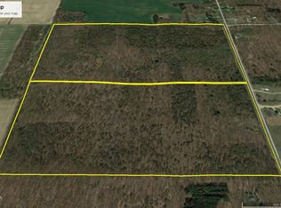 2 40th St, Decatur, MI 49045