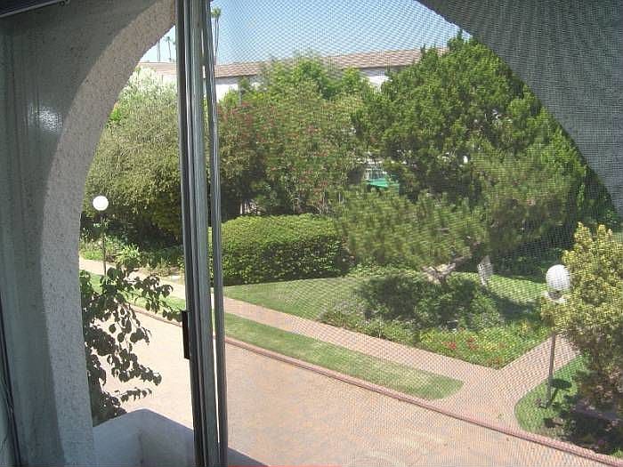 View From Kitchen