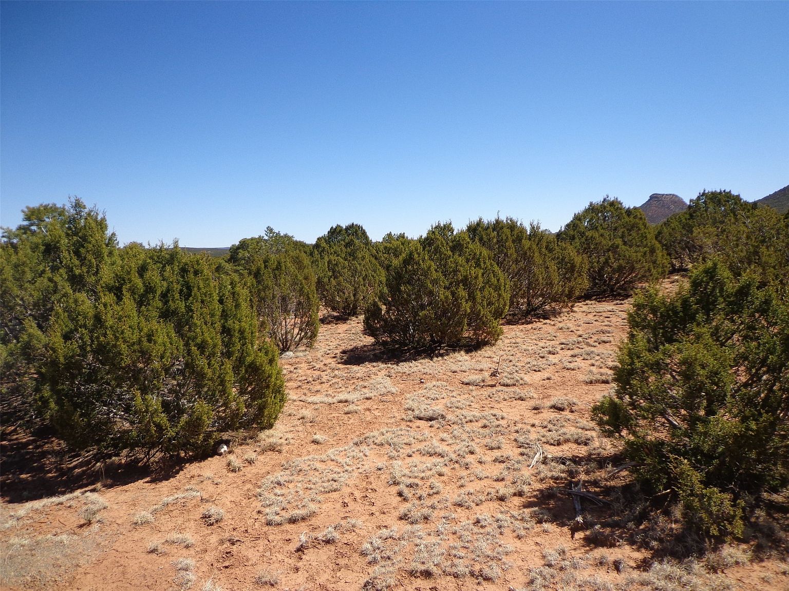 2A Camino Del Sol, Serafina, NM 87569 MLS 202401210 Zillow