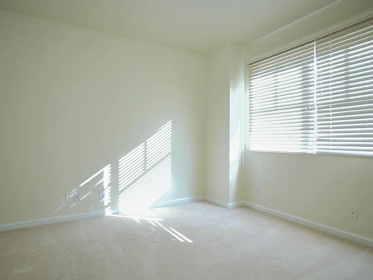 558 Driscoll Pl — Photo 19