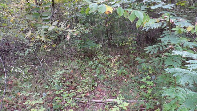 1st image of 0 Shady Creek Trl