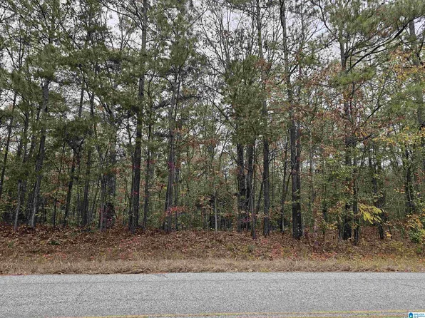 Unkn County Rd #60-7.2, Heflin, AL 36264