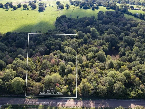 LOT 3 Bogota Dr, Iola, TX 77861