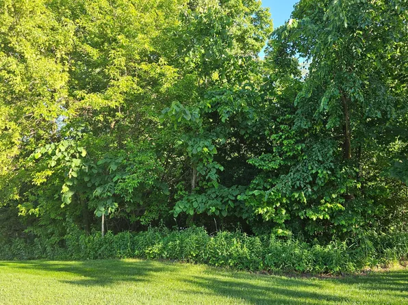 W901 Silver Fox Dr, Spring Valley, WI 54767