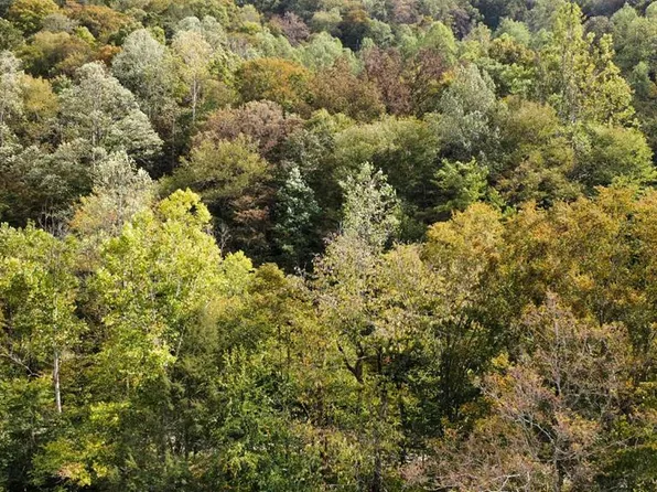 Homecreek Rd, Grundy, VA 24614