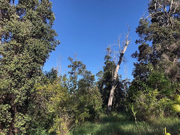 4th image of King Kamehameha Blvd Lot 12