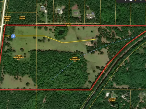 19416 NW 91st St, Alachua, FL 32615