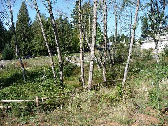 View from rear deck to open space