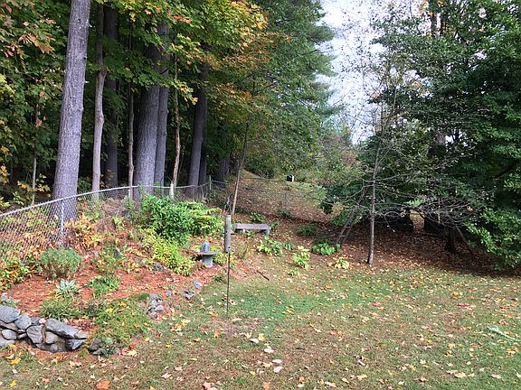 Established perennials 