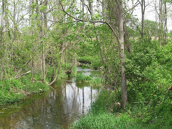 2nd image of 3188 County Road 4 Lot 1