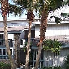 1st image of 3978 Sherwood Ln
