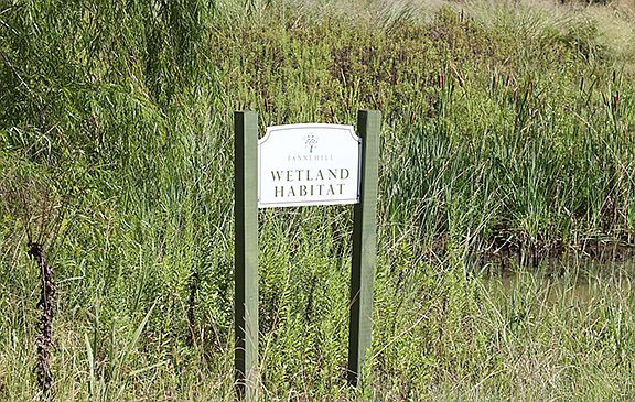 lots of nature to admire