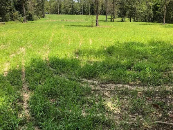 743 Hornsby Rd, Pine Grove, LA 70453