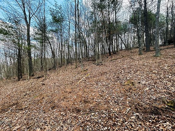 3rd image of Tbd Wilkins Ln