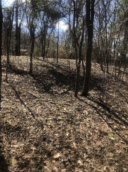 2nd image of Gottland Shoals Rd