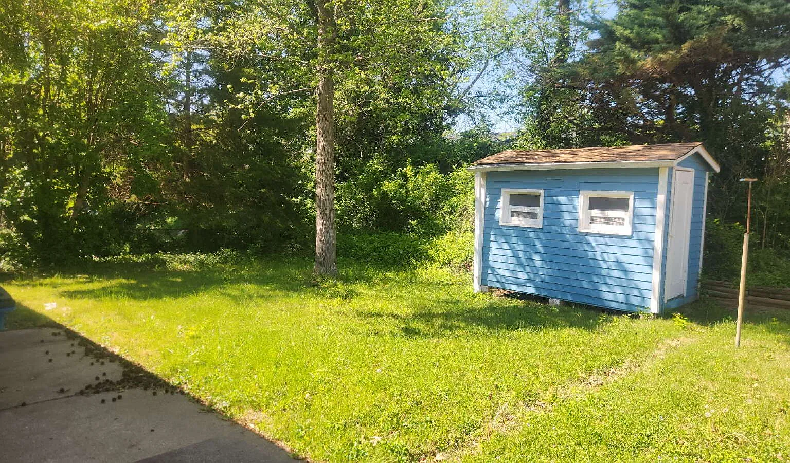 3 bed, 1.0 bath, $1,300 — Photo 2