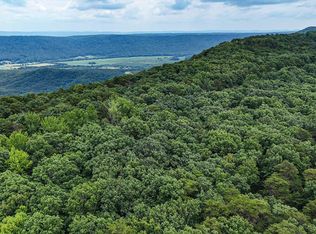 0 Highway 157 Hwy, Cloudland, GA 30731