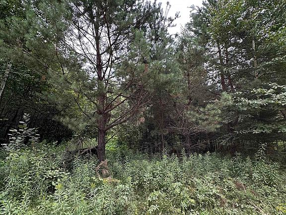 2nd image of Tbd Smoky Lake Rd