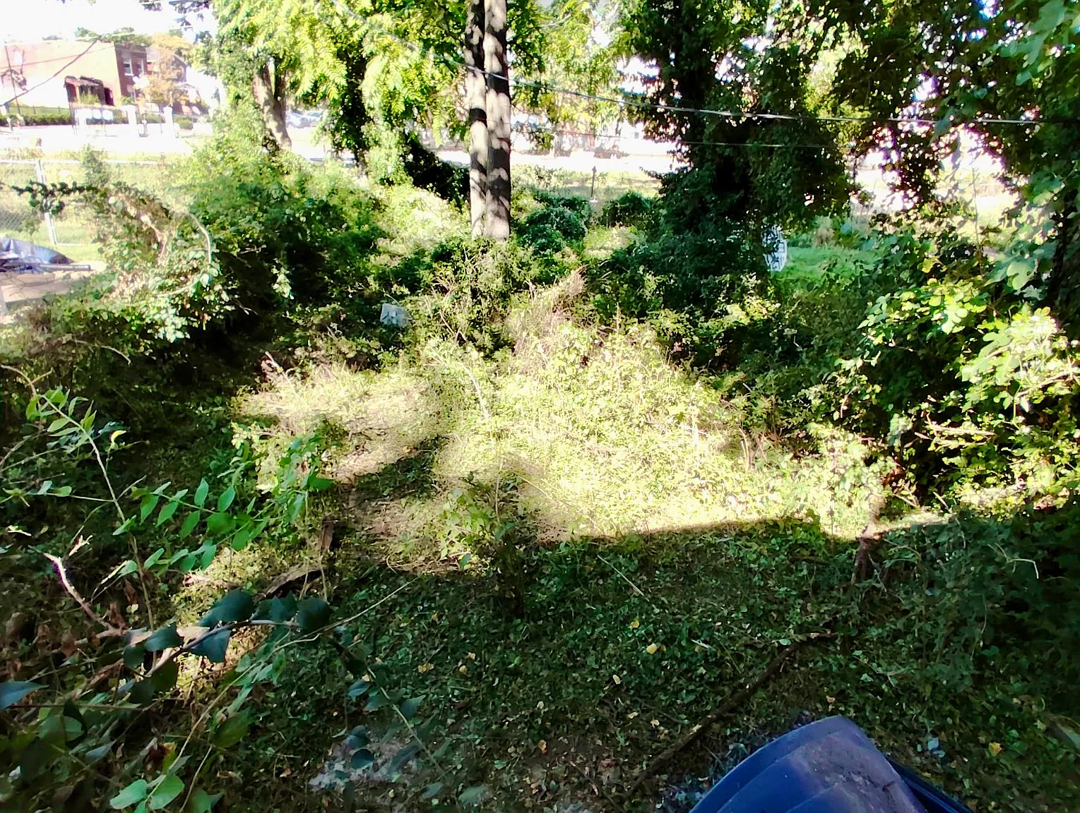 2 bed, 858 sqft, $1,000 — Photo 3