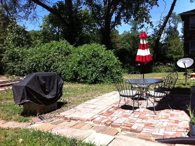 back yard