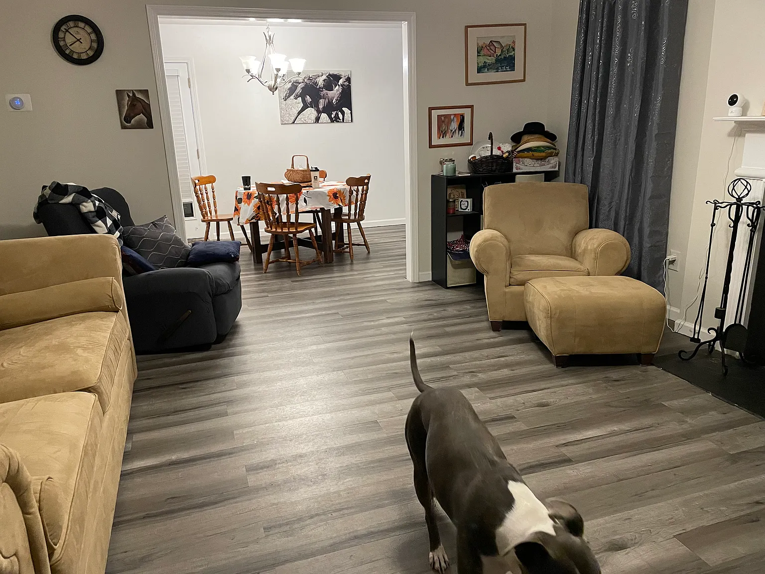 4038 Cindy Woods Ln — Photo 4