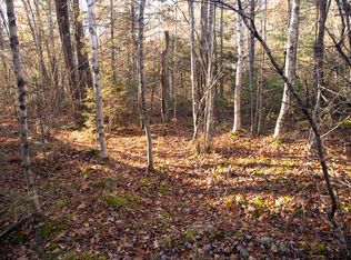 36-4 White Orchard Rd, Frankfort, ME 04438