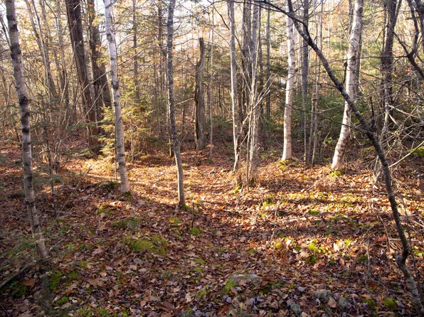 Lot 36-4 White Orchard Road, Frankfort, ME 04438