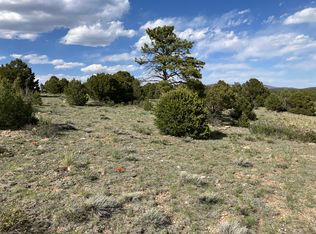 705 Riggs Rd, Westcliffe, CO 81252